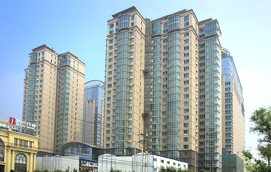 Image Caption