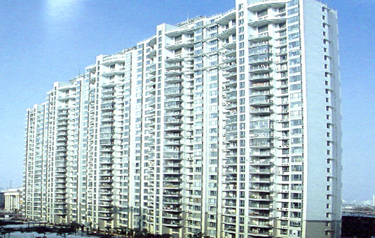 Image Caption