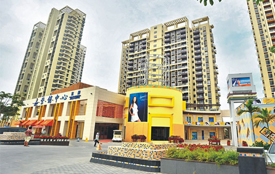 Image Caption